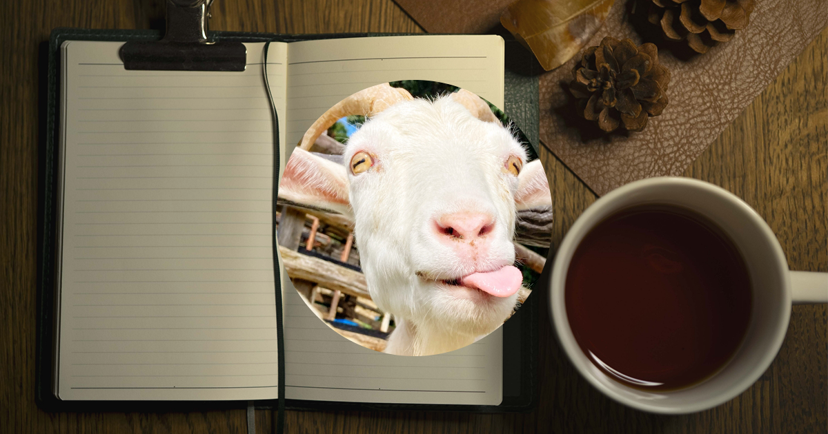 ビジネス書ライター：あいか